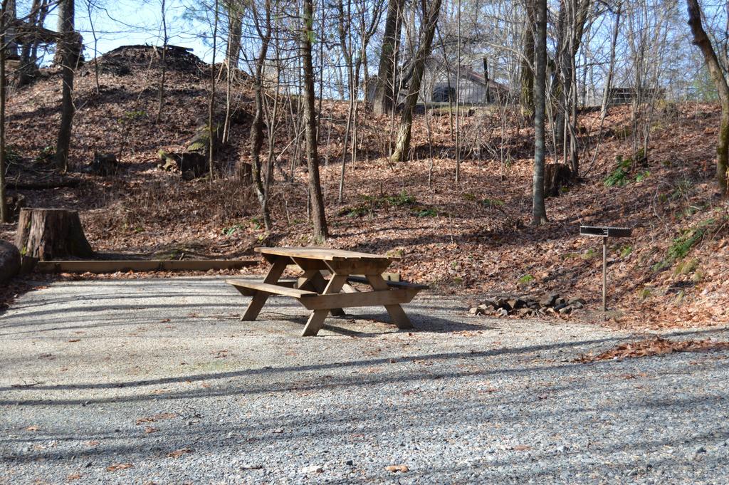Linville Falls Campground, Rv Park, And Cabins Εξωτερικό φωτογραφία