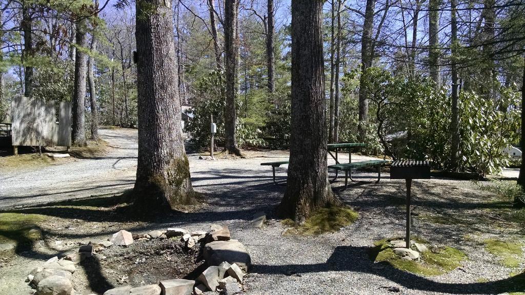 Linville Falls Campground, Rv Park, And Cabins Εξωτερικό φωτογραφία