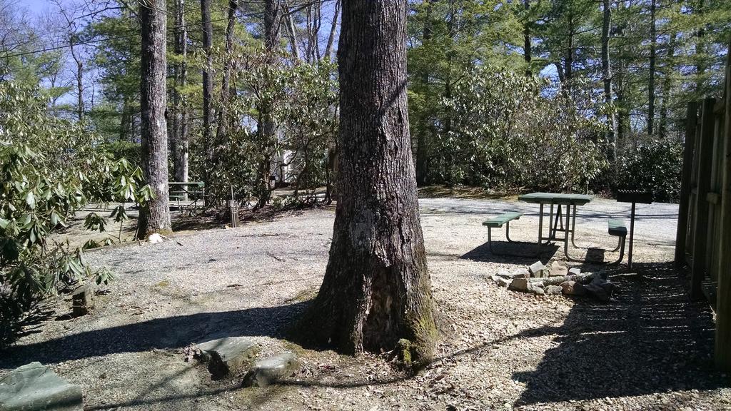 Linville Falls Campground, Rv Park, And Cabins Εξωτερικό φωτογραφία