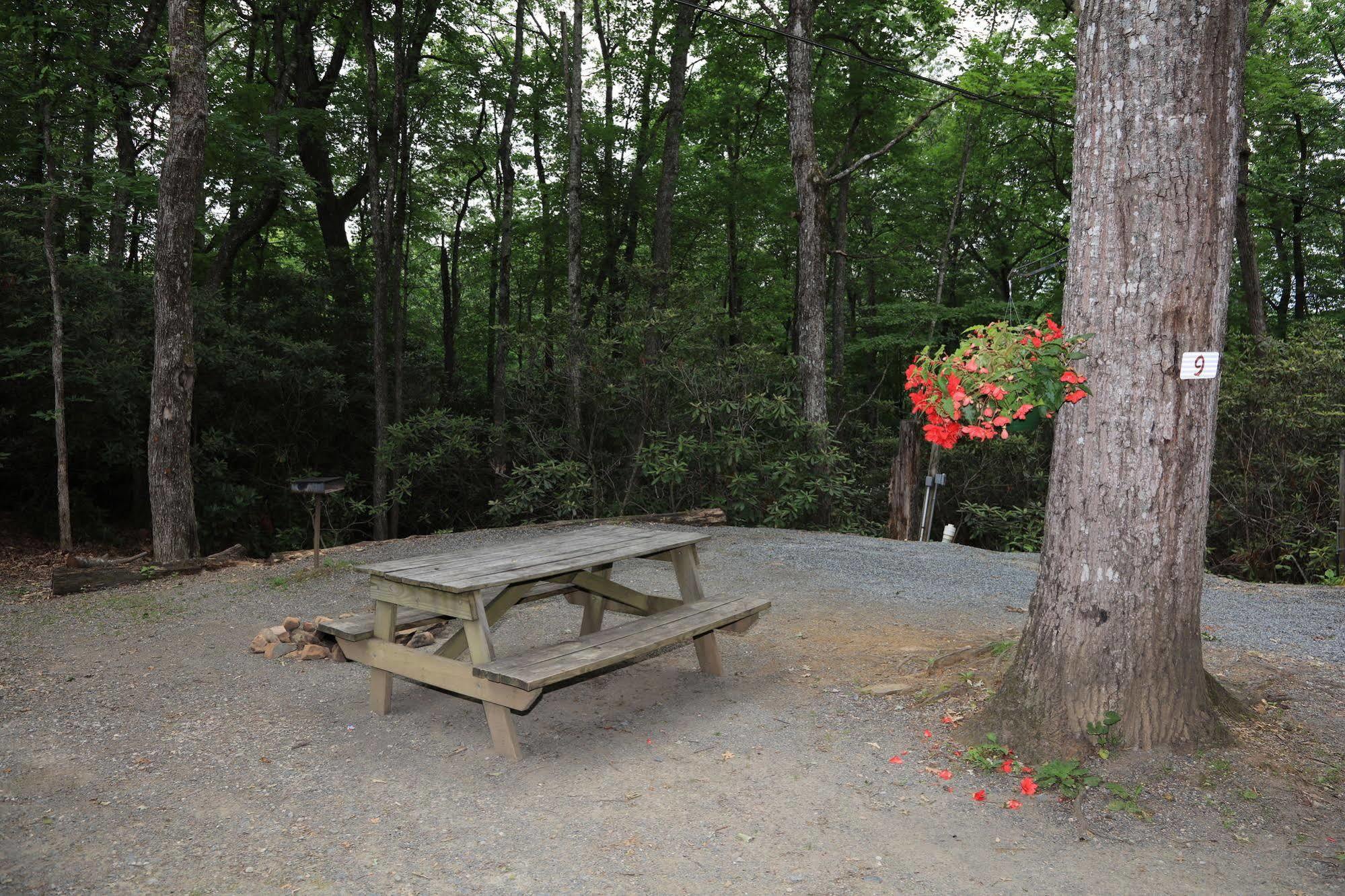 Linville Falls Campground, Rv Park, And Cabins Εξωτερικό φωτογραφία